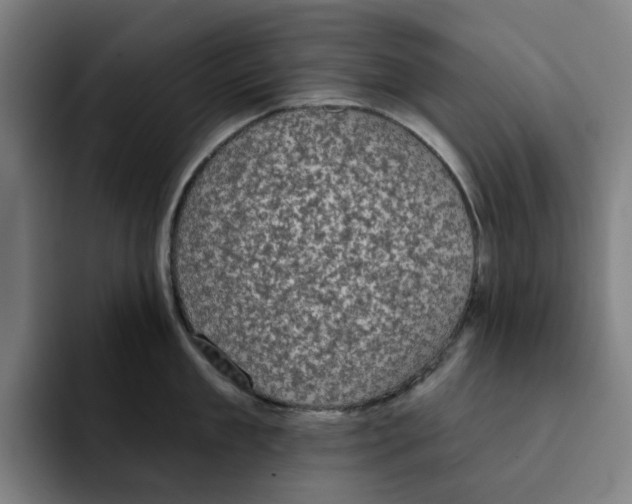 X0000091890909200709261637