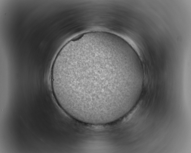 X0000091890911200709261637