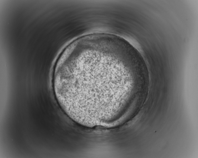 X0000091890912200709261637