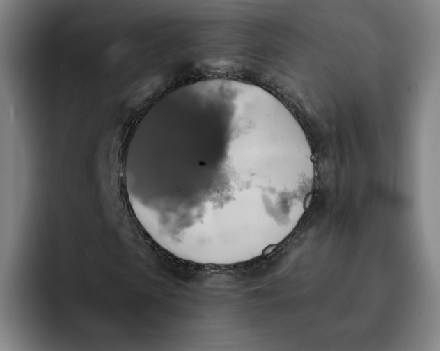 X0000091890913200709261636