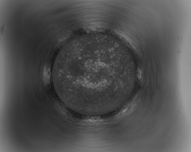 X0000091890915200709261636