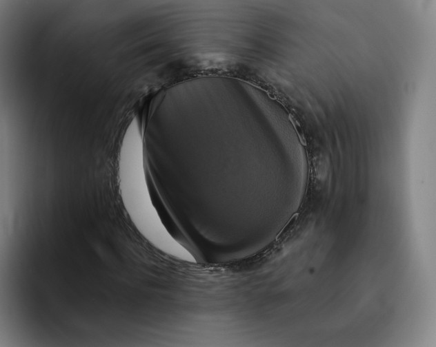 X0000091890916200709261636