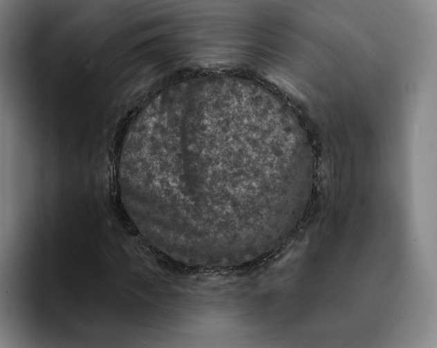 X0000091890917200709261636