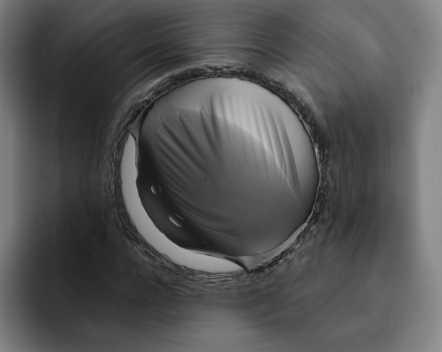 X0000091890920200709261636