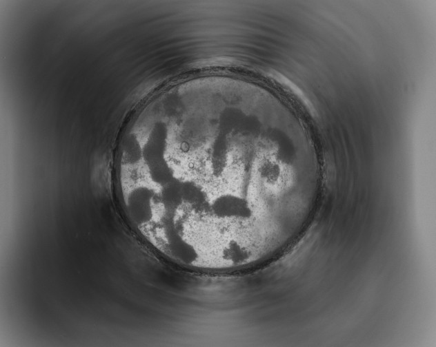 X0000091890921200709261636