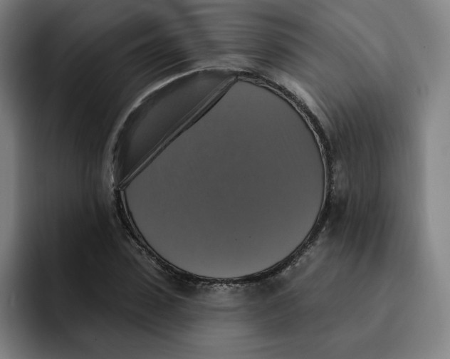 X0000091890923200709261636