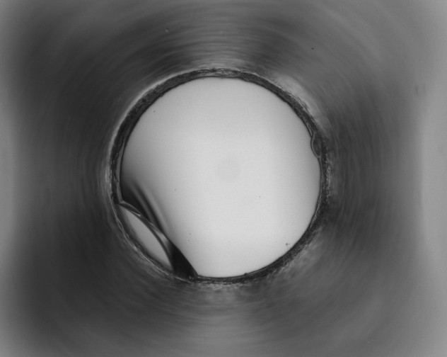 X0000091890924200709261636