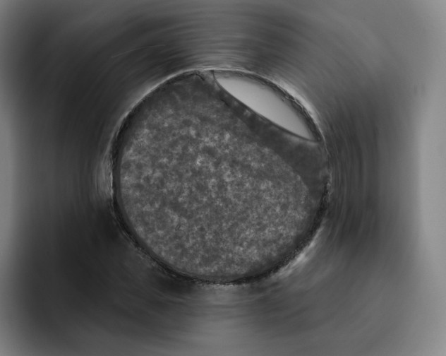 X0000091890925200709261636