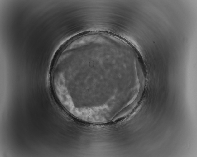 X0000091890928200709261637