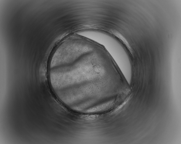 X0000091890930200709261637