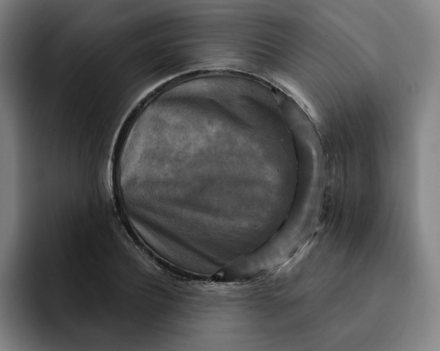 X0000091890932200709261637