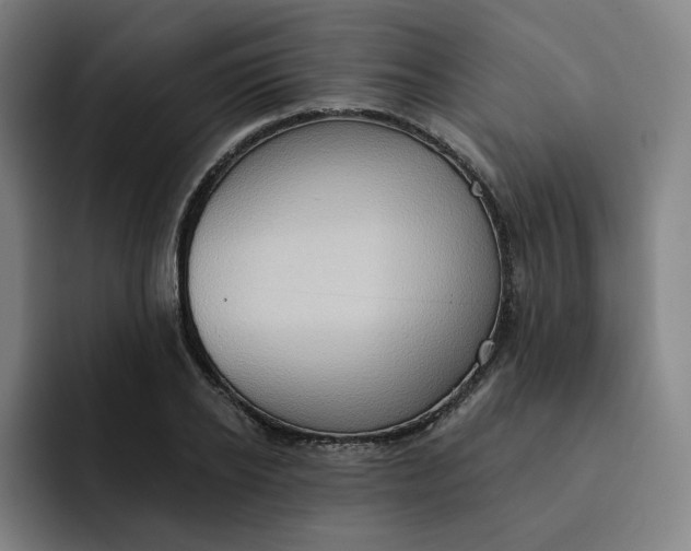 X0000091890934200709261637