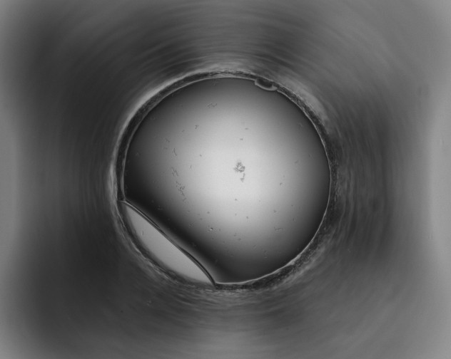 X0000091890936200709261637