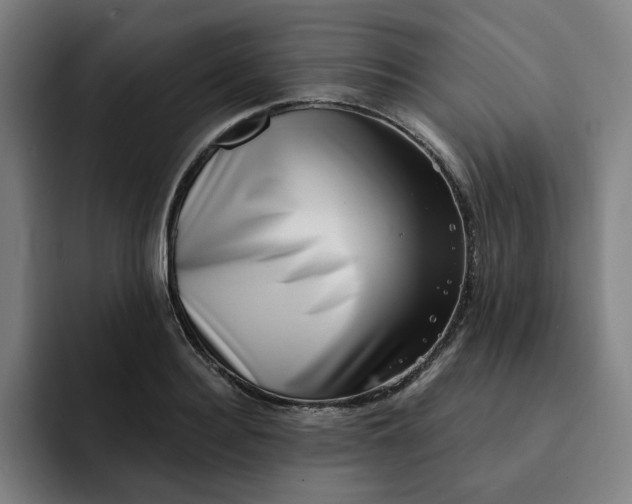 X0000091890940200709261637