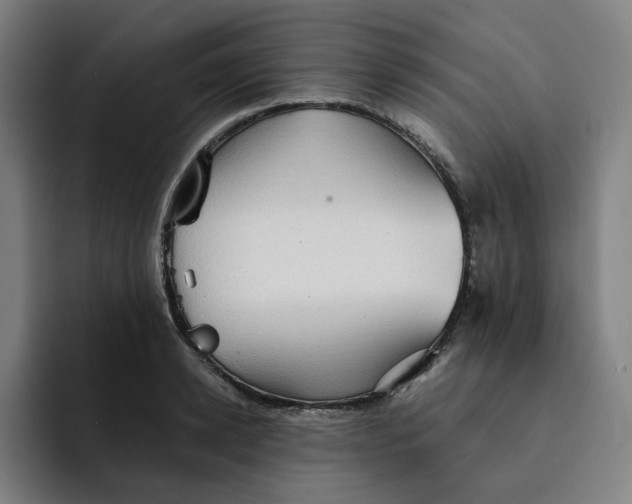 X0000091890942200709261637