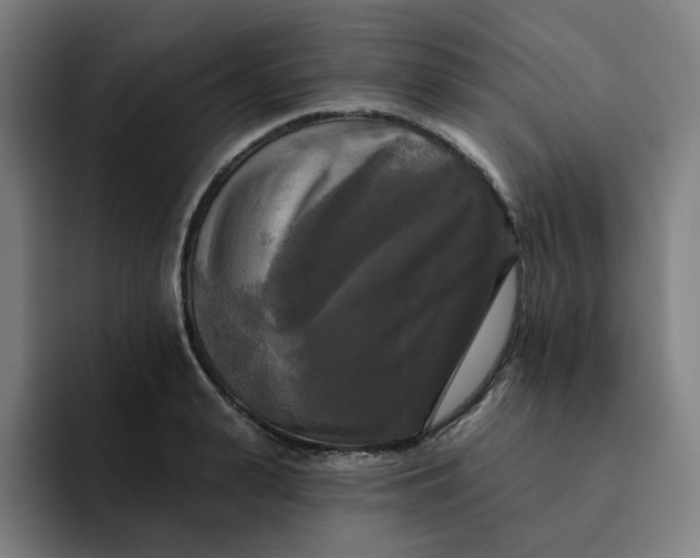 X0000091890943200709261637