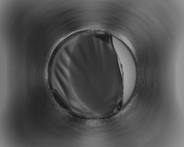 X0000091890944200709261637