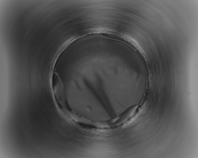 X0000091890946200709261637