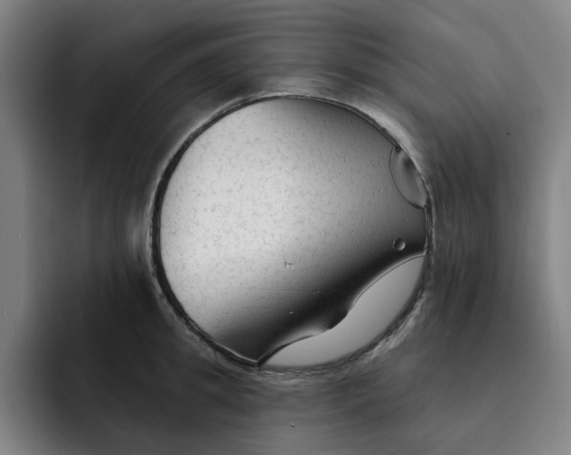 X0000091890949200709261637