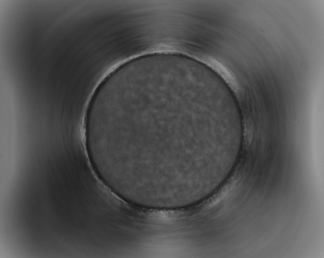 X0000091890950200709261637