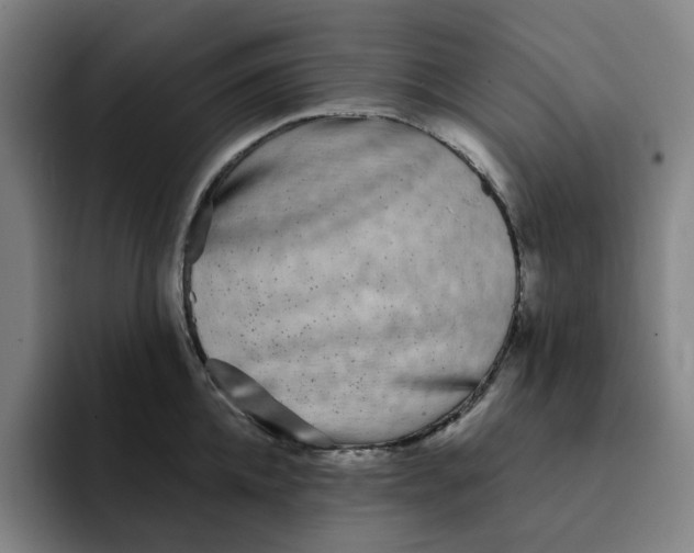 X0000091890952200709261637