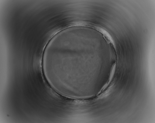 X0000091890954200709261637