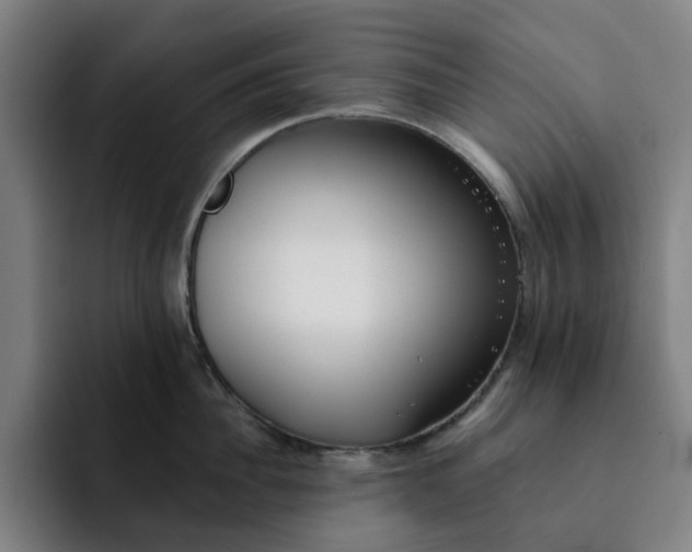 X0000091890956200709261637