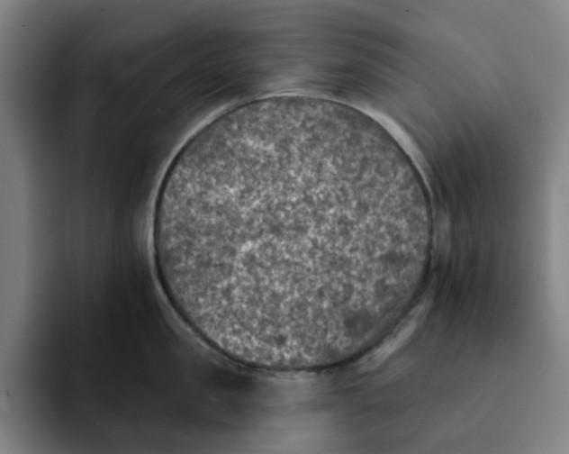 X0000091890957200709261637