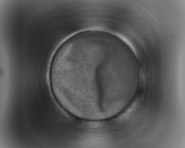 X0000091890959200709261637