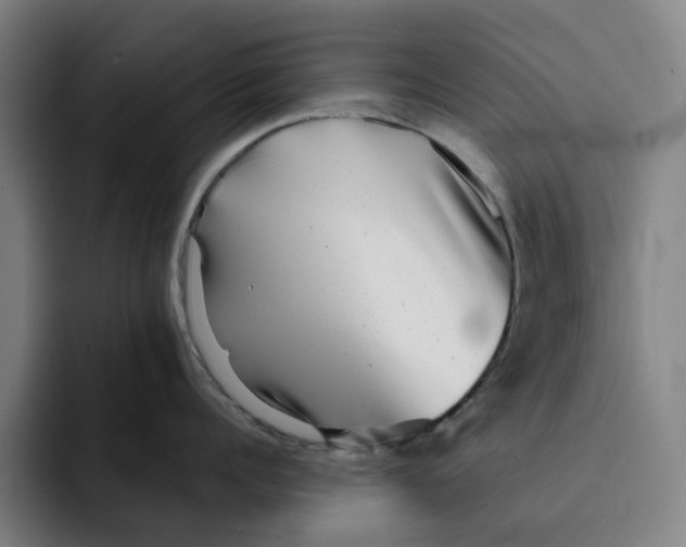 X0000091890960200709261637