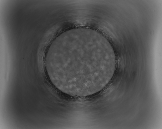 X0000091890961200709261636