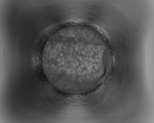 X0000091890966200709261636