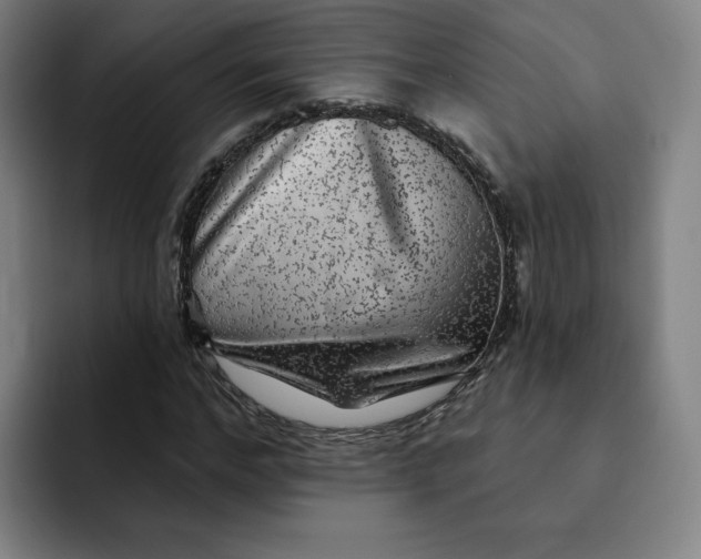 X0000091890968200709261636