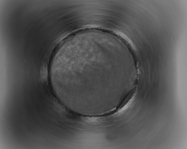 X0000091890969200709261636