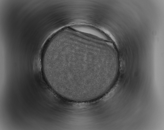 X0000091890973200709261636