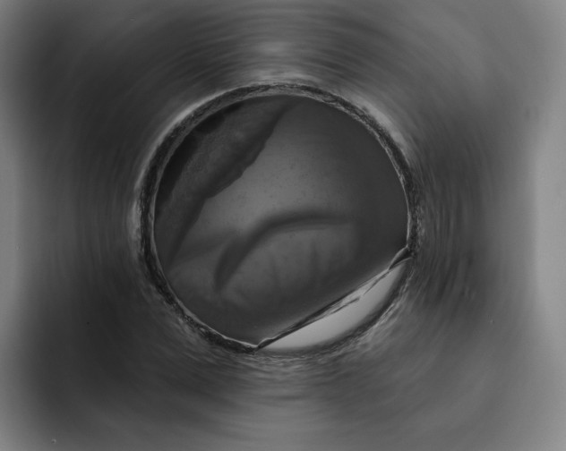 X0000091890975200709261636