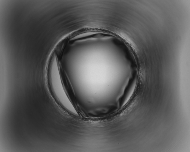 X0000091890976200709261636