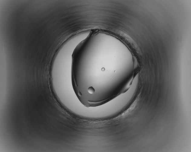 X0000091890977200709261636