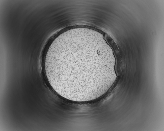 X0000091890979200709261636