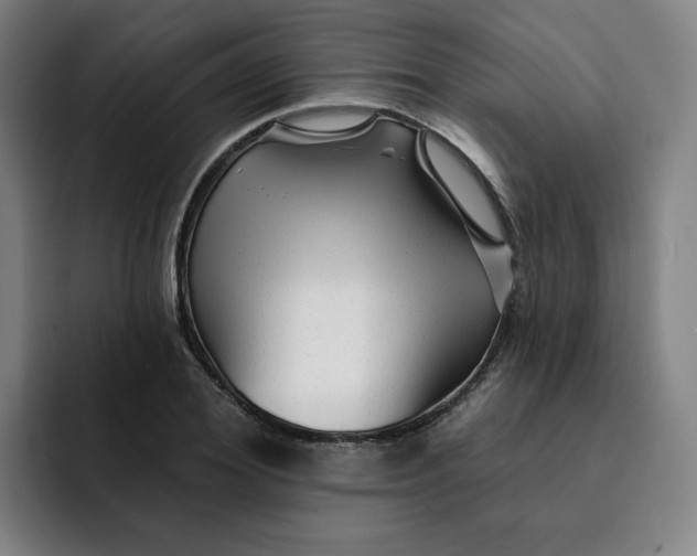 X0000091890980200709261636