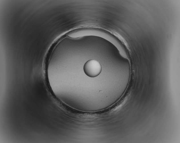 X0000091890981200709261636