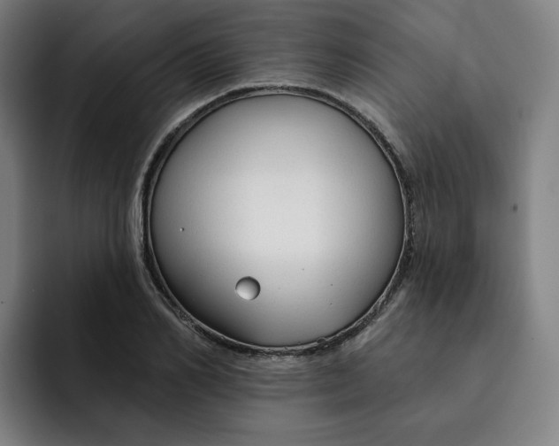 X0000091890982200709261636