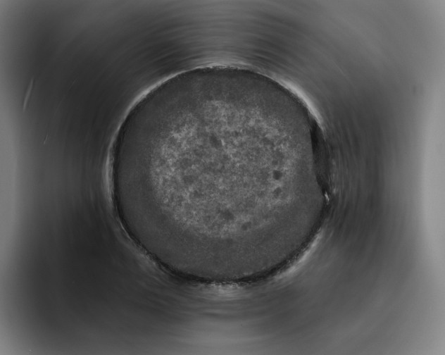 X0000091890983200709261636