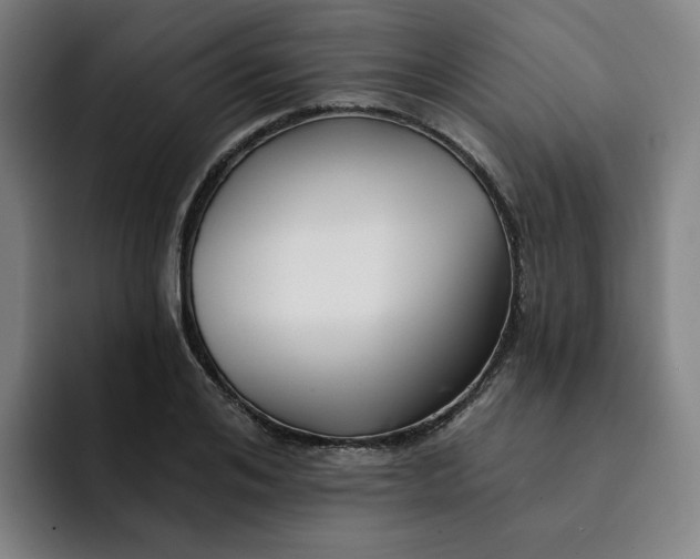 X0000091890984200709261636