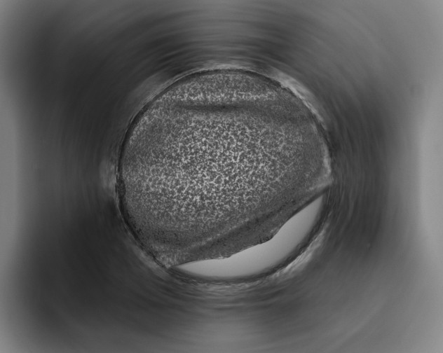 X0000091890985200709261636