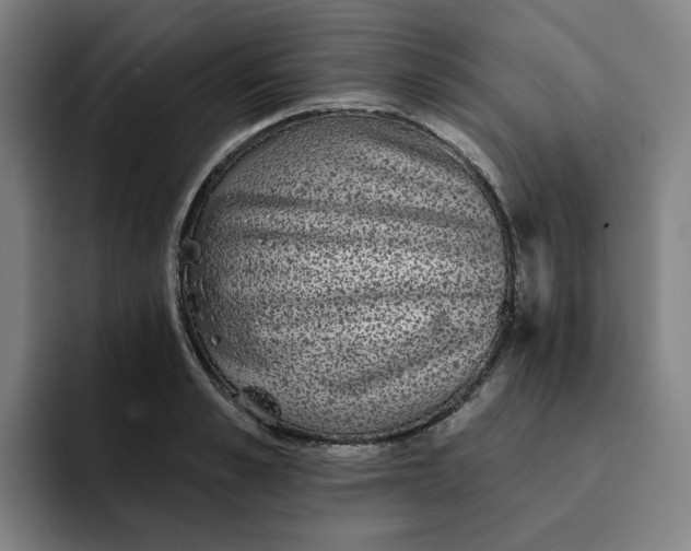 X0000091890989200709261636