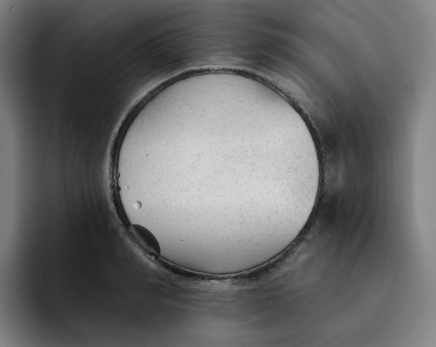 X0000091890990200709261636