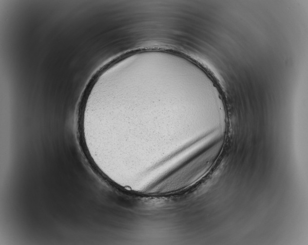 X0000091890991200709261636