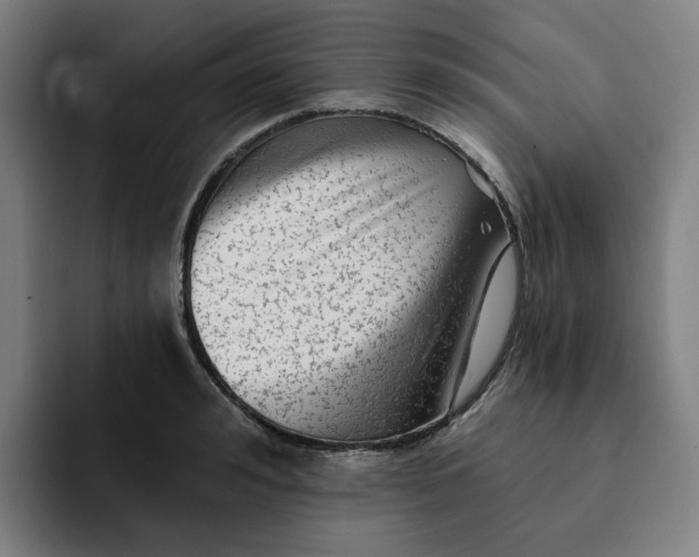 X0000091890992200709261636