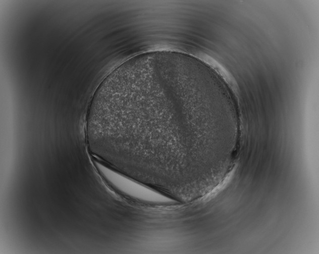 X0000091890993200709261636